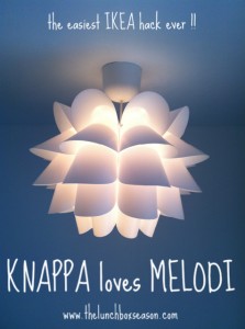 Knappa loves Melodi