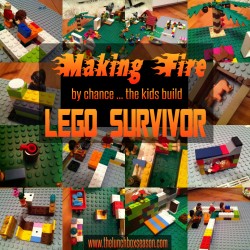 Lego Survivor