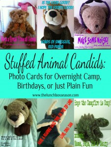 Stuffed Animal Candids Photo Cards