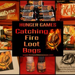 Hunger Games Catching Fire Loot Bags