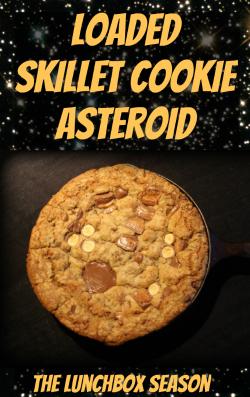 Feat Loaded Skillet Cookie Asteroid