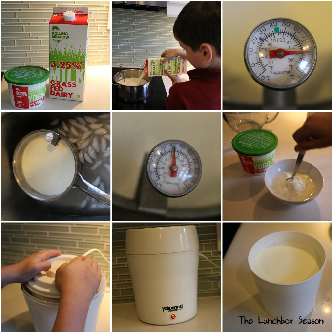 Making the Yogurt